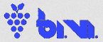 BiVi